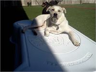 daycare pic 8 - charmin